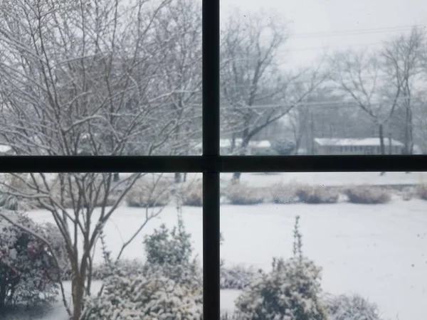 Sneeuw in tuin in winter en raam — Stockfoto