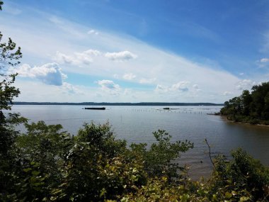 Tekne, ağaçlar ve bulutlarla dolu bir nehirde harabeye döner.