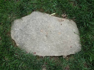 Yeşil çimlerde ya da çimlerde gri kaya basamakları