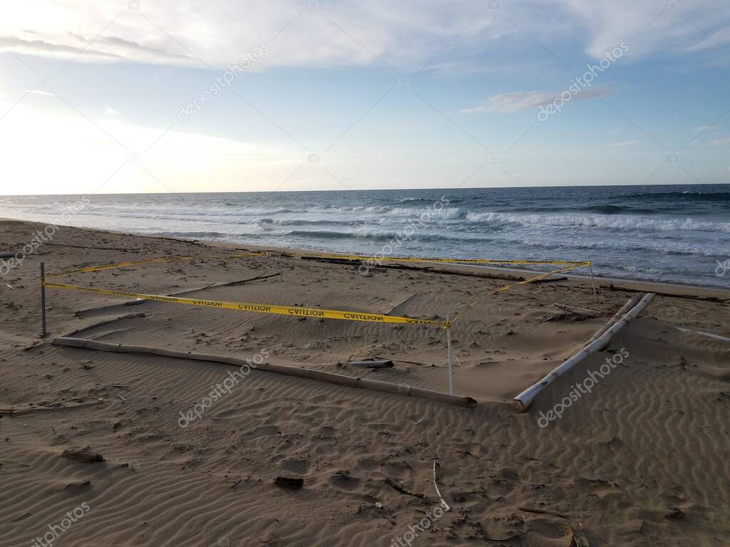 sea turtle nesting site on beach with water and caution tape