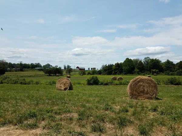 Balle o rotoli di fieno in campo nell'azienda agricola — Foto Stock