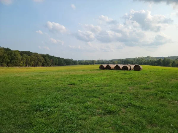 Campo verde com grandes rolos de feno ou palha — Fotografia de Stock
