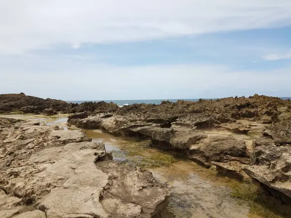 Скалистый берег на пляже с водорослями в Изабелле, Пуэрто-Рико — стоковое фото