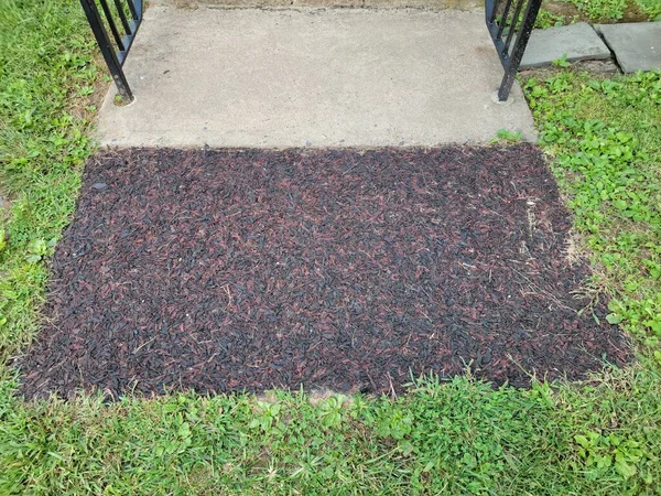 Цемент или тротуар и мягкая резиновая почва и трава — стоковое фото