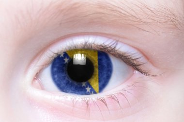 Bosna-Hersek ulusal bayrak gözle insan