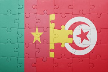 Tunus ve Kamerun ulusal bayrak ile bulmaca