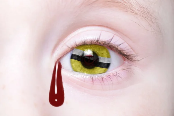 Ojo humano con bandera nacional de brunei — Foto de Stock