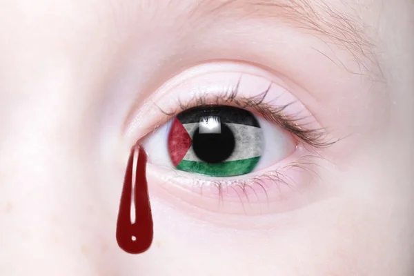 Ojo humano con bandera nacional de Palestina — Foto de Stock