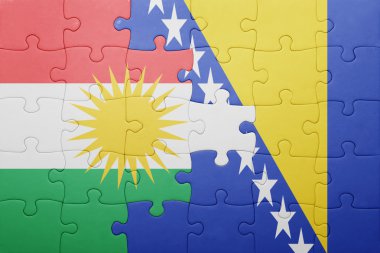puzzle with the national flag of bosnia and herzegovina and kurdistan