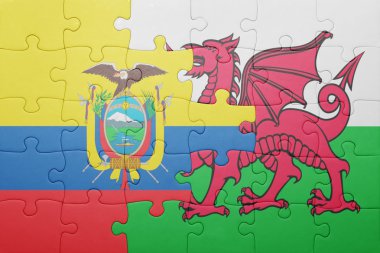 Ekvador ve Galler Ulusal bayrak ile bulmaca 