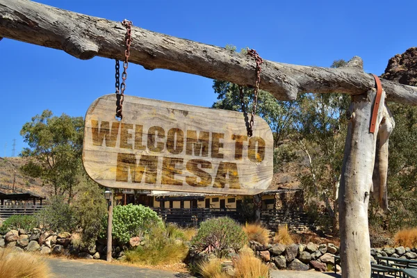 Wood signboard with text " welcome to Mesa" hanging on a branch — 스톡 사진