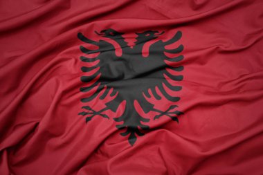 Afrika 'nın renkli ulusal bayrağını sallıyordu. makro çekim