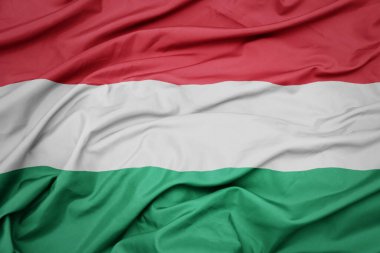 Hungary 'nin renkli ulusal bayrağını sallıyor. makro çekim
