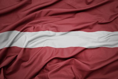 Letonya 'nın renkli ulusal bayrağını sallıyordu. makro çekim