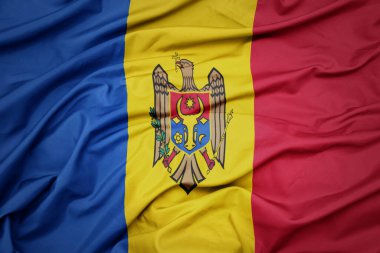 Moldova 'nın renkli ulusal bayrağını sallıyor. makro çekim