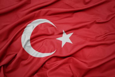 Elinde renkli bir hindi bayrağı sallıyordu. makro çekim