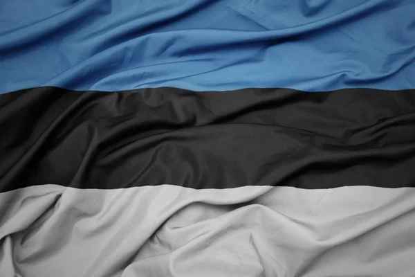 Mávající Barevnou Národní Vlajkou Estonie Snímek Makra — Stock fotografie
