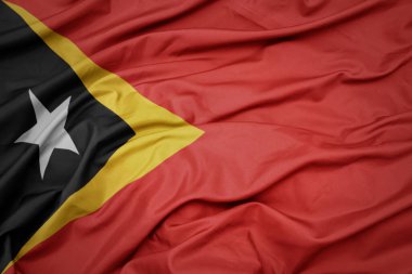 Doğu Timor 'un renkli ulusal bayrağını sallıyor. makro çekim