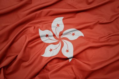 Hong Kong 'un renkli bayrağını sallıyor. makro çekim