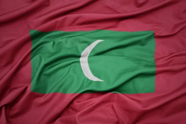 Maldivlerin renkli ulusal bayrağını sallıyordu. makro çekim