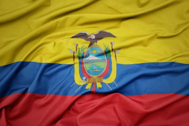 Ekvador 'un renkli ulusal bayrağını sallıyordu. makro çekim