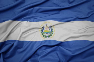 El Salvador 'un renkli ulusal bayrağını sallıyordu. makro çekim