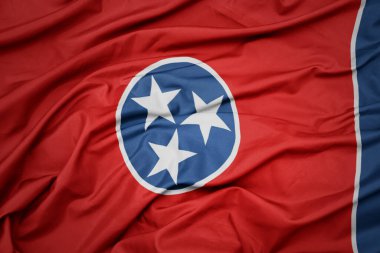 Tennessee eyaletinin renkli bayrağını sallıyordu. makro çekim