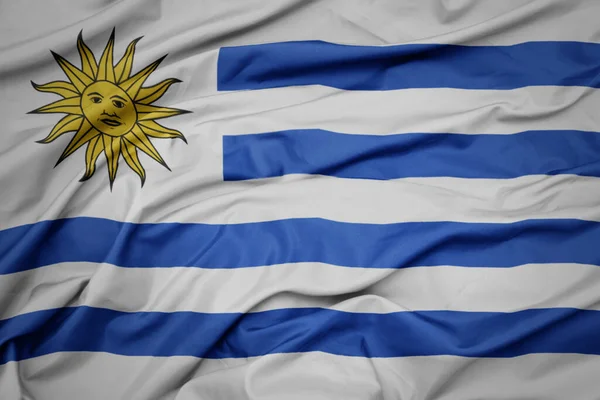 Waving Colorful National Flag Uruguay Macro Shot — Foto de Stock