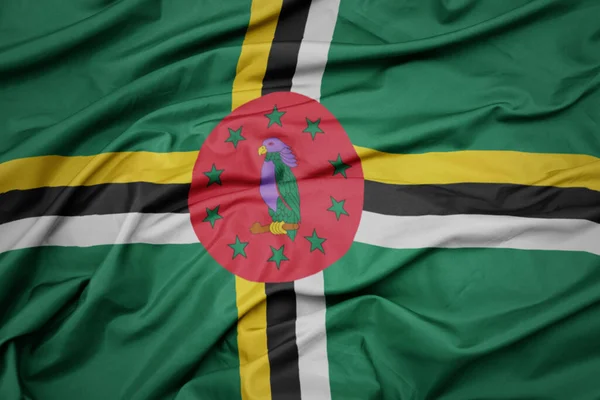 Waving Colorful National Flag Dominica Macro Shot — Stock Photo, Image