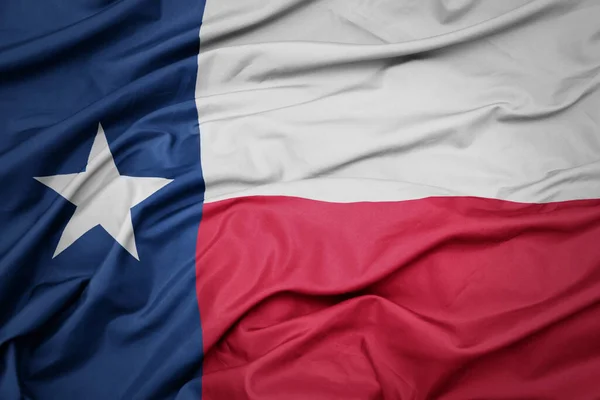 Teksas Eyaletinin Renkli Bayrağını Sallıyordu Makro Çekim — Stok fotoğraf