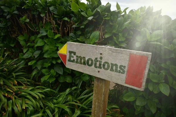Vintage Old Wooden Signboard Text Emotions Green Plants Concept — Stock Photo, Image