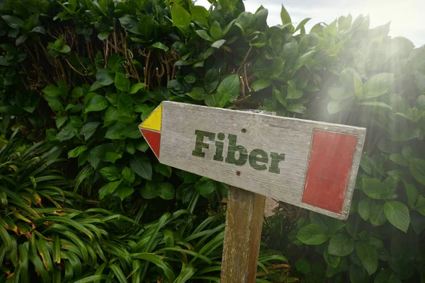 Placa Madeira Velha Vintage Com Fibra Texto Perto Das Plantas — Fotografia de Stock