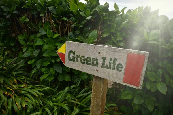 Zabytkowy Stary Drewniany Szyld Tekstem Zielone Życie Pobliżu Zielonych Roślin — Zdjęcie stockowe