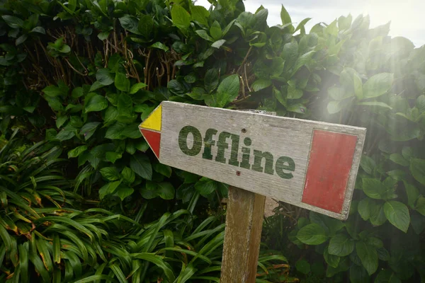 Vintage Staré Dřevěné Tabule Textem Offline Blízkosti Zelených Rostlin Koncept — Stock fotografie