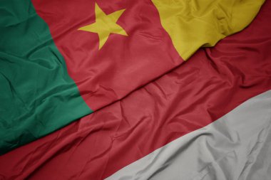 Elinde renkli Endonezya bayrağı ve ulusal kamera bayrağı sallıyordu. makro