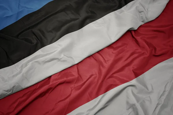 Mávající Barevnou Vlajkou Indonésie Národní Vlajkou Estonie Makro — Stock fotografie