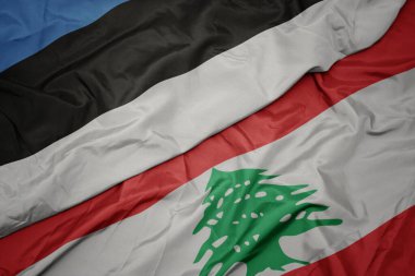 Lübnan bayrağı ve ulusal Estonya bayrağı sallıyordu. makro