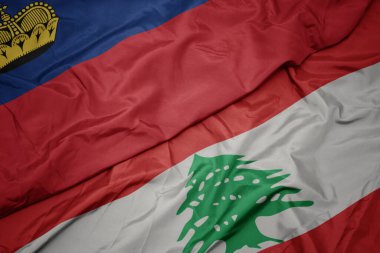 Lübnan bayrağı ve ulusal Lihtenştayn bayrağı sallıyordu. makro