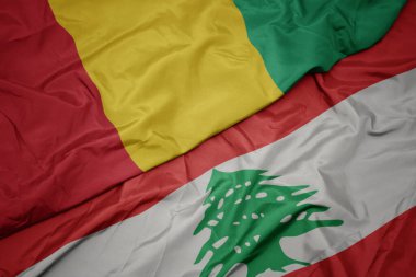 Lübnan bayrağı ve Gine bayrağı sallıyordu. makro