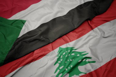 Lübnan bayrağı ve Sudan bayrağı sallıyordu. makro