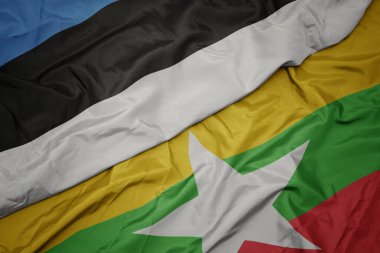Myanmar bayrağı ve Estonya bayrağı sallıyordu. makro