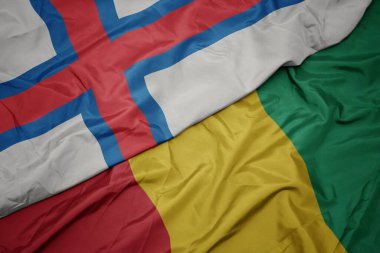 Gine bayrağı ve Faroe adalarının bayrağını sallıyordu. makro