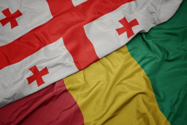 Gine bayrağı ve Gürcistan bayrağı sallıyordu. makro