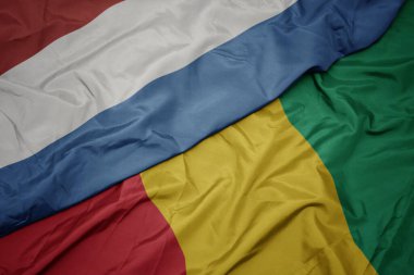 Renkli Gine bayrağı ve Lüksemburg bayrağı sallıyordu. makro