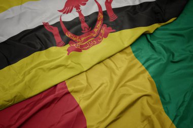 Renkli Gine bayrağı ve ulusal esmer bayrağı sallıyordu. makro