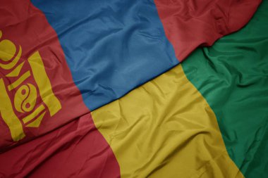 Gine bayrağı ve Moğolistan bayrağı sallıyordu. makro