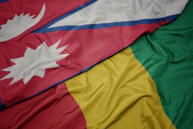 Renkli Gine bayrağı ve Nepal bayrağı sallıyor. makro