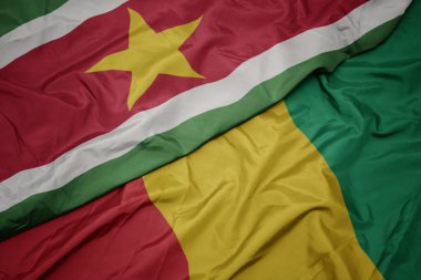 Gine 'nin renkli bayrağı ve surinam' ın ulusal bayrağı sallanıyor. makro