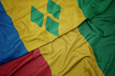 Gine 'nin renkli bayrağını sallıyordu. Saint Vincent' in ulusal bayrağı ve el bombaları. makro