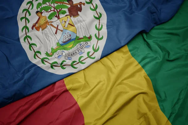 Waving Colorful Flag Guinea National Flag Belize Macro — Stock Photo, Image